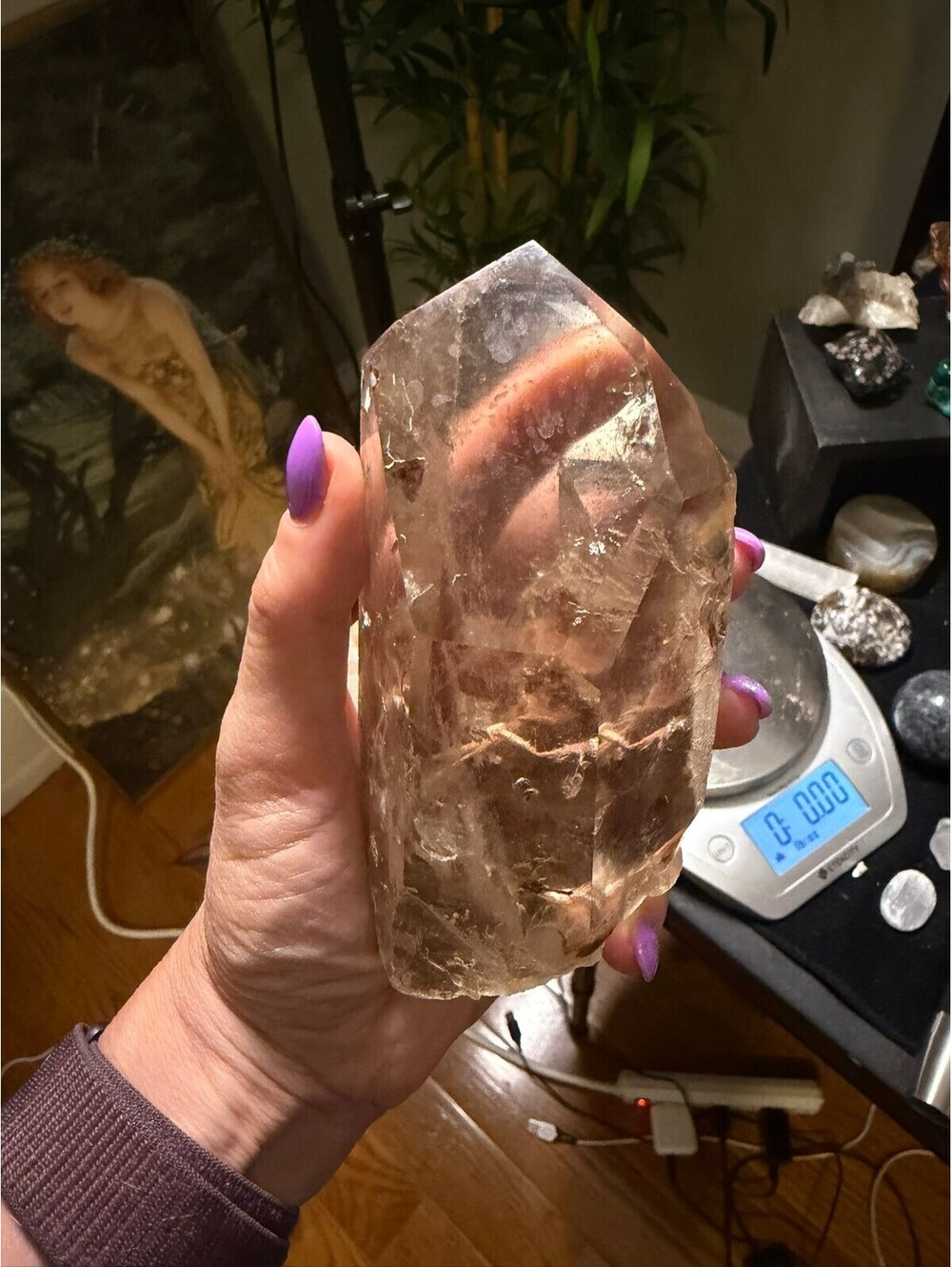 Smoky quartz point with golden needle inclusions